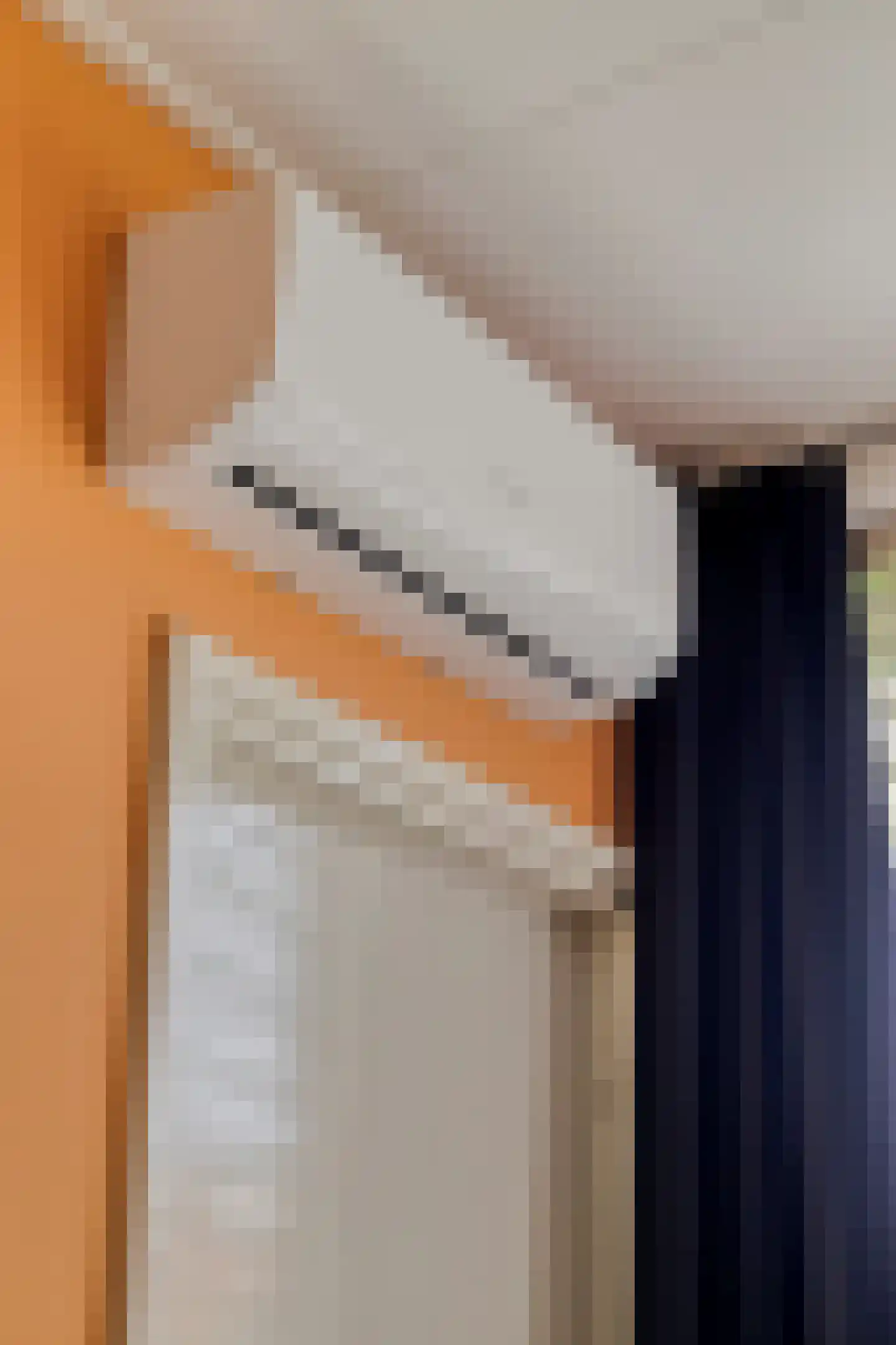 Rubensstraat 2 Raamsdonksveer thumbnail 50