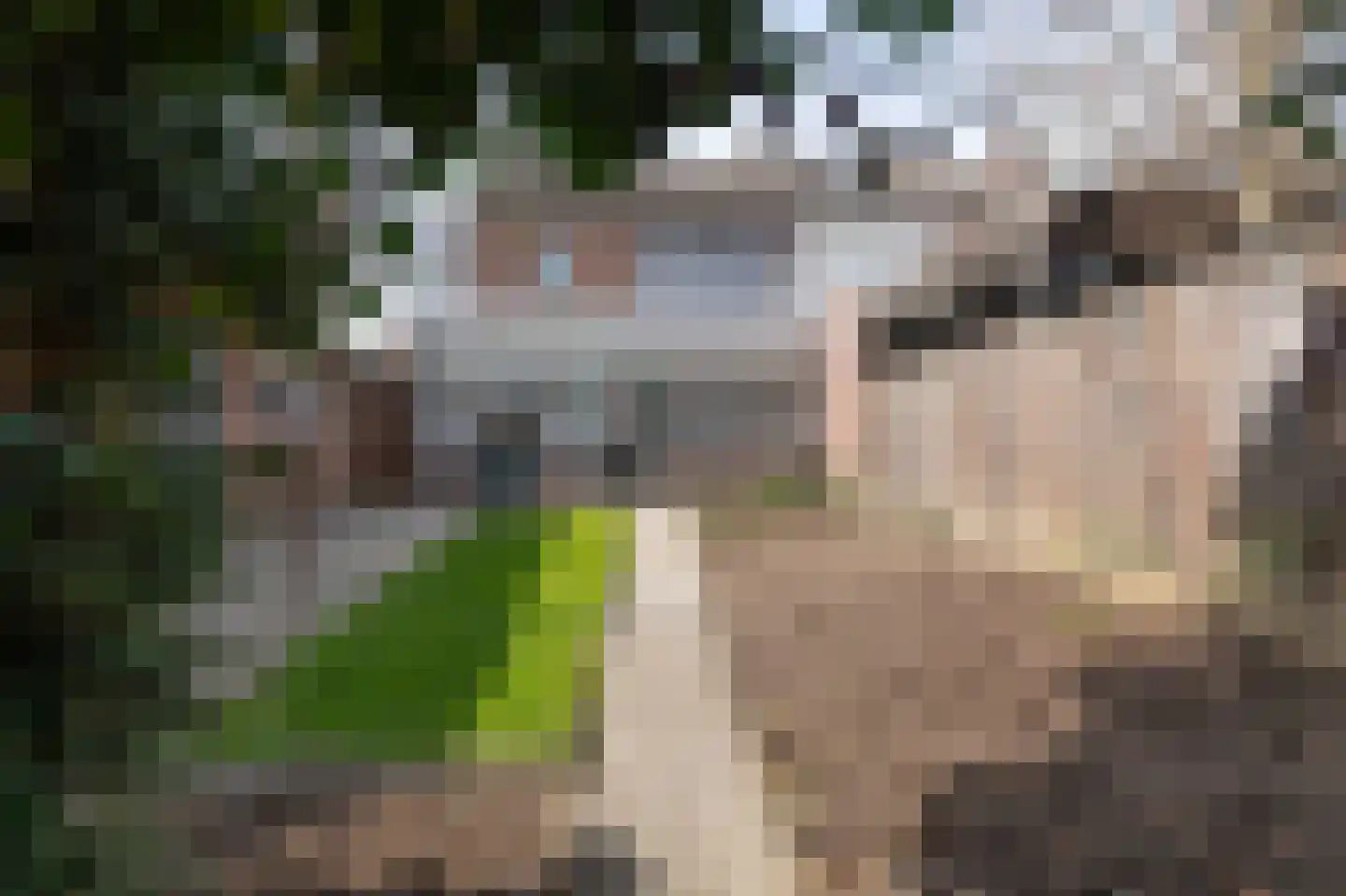 Rubensstraat 23 Geleen thumbnail 44