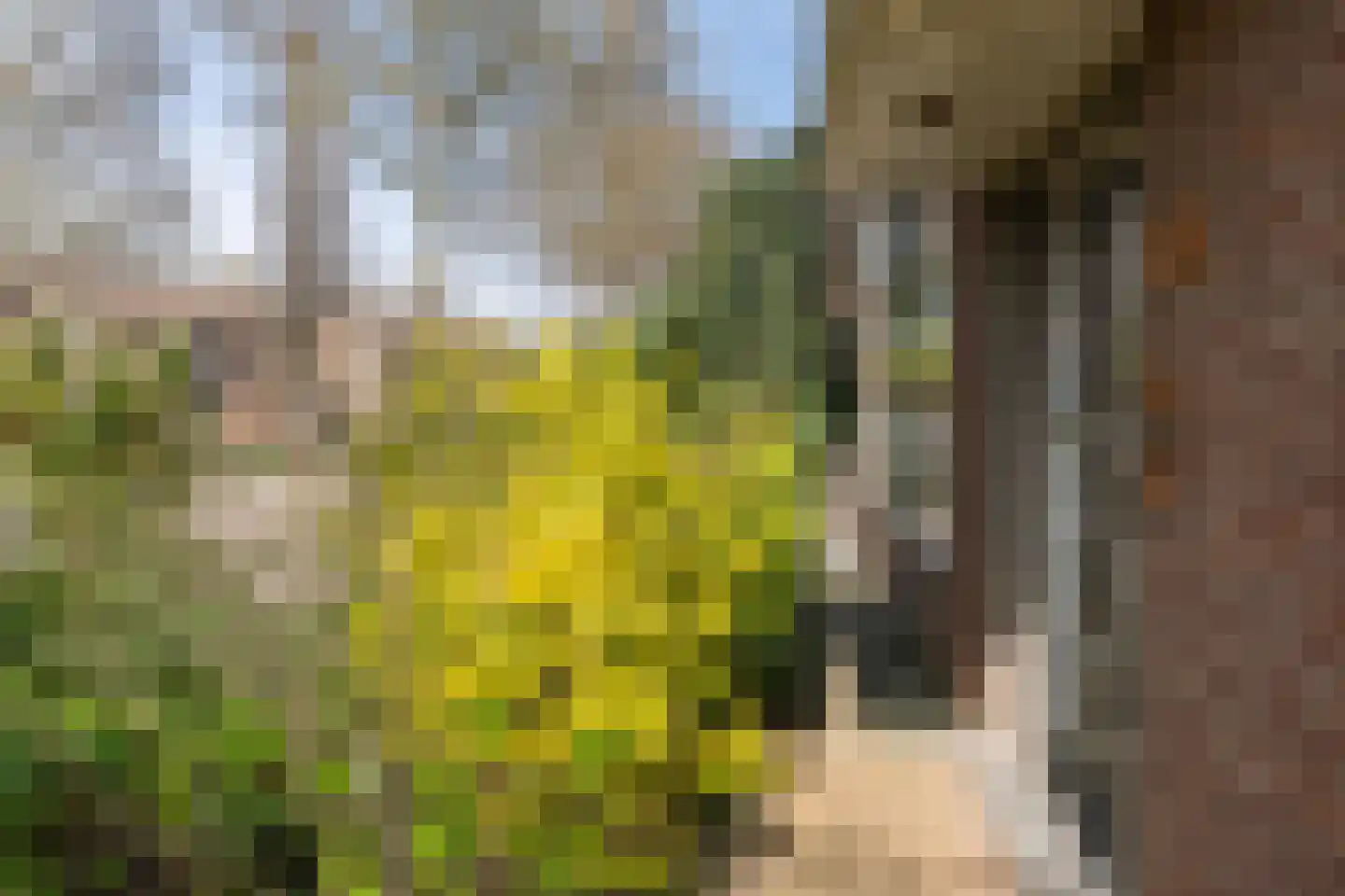 Rubensstraat 23 Geleen thumbnail 47