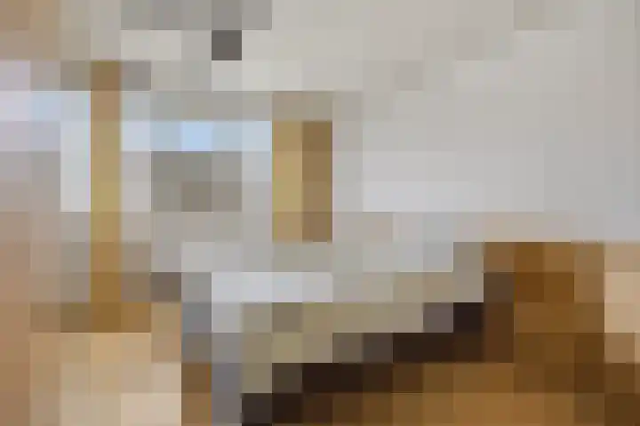 Rubensstraat 25 Breda thumbnail 23