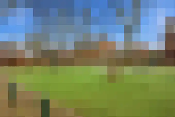 Rubensstraat 25 Breda thumbnail 33