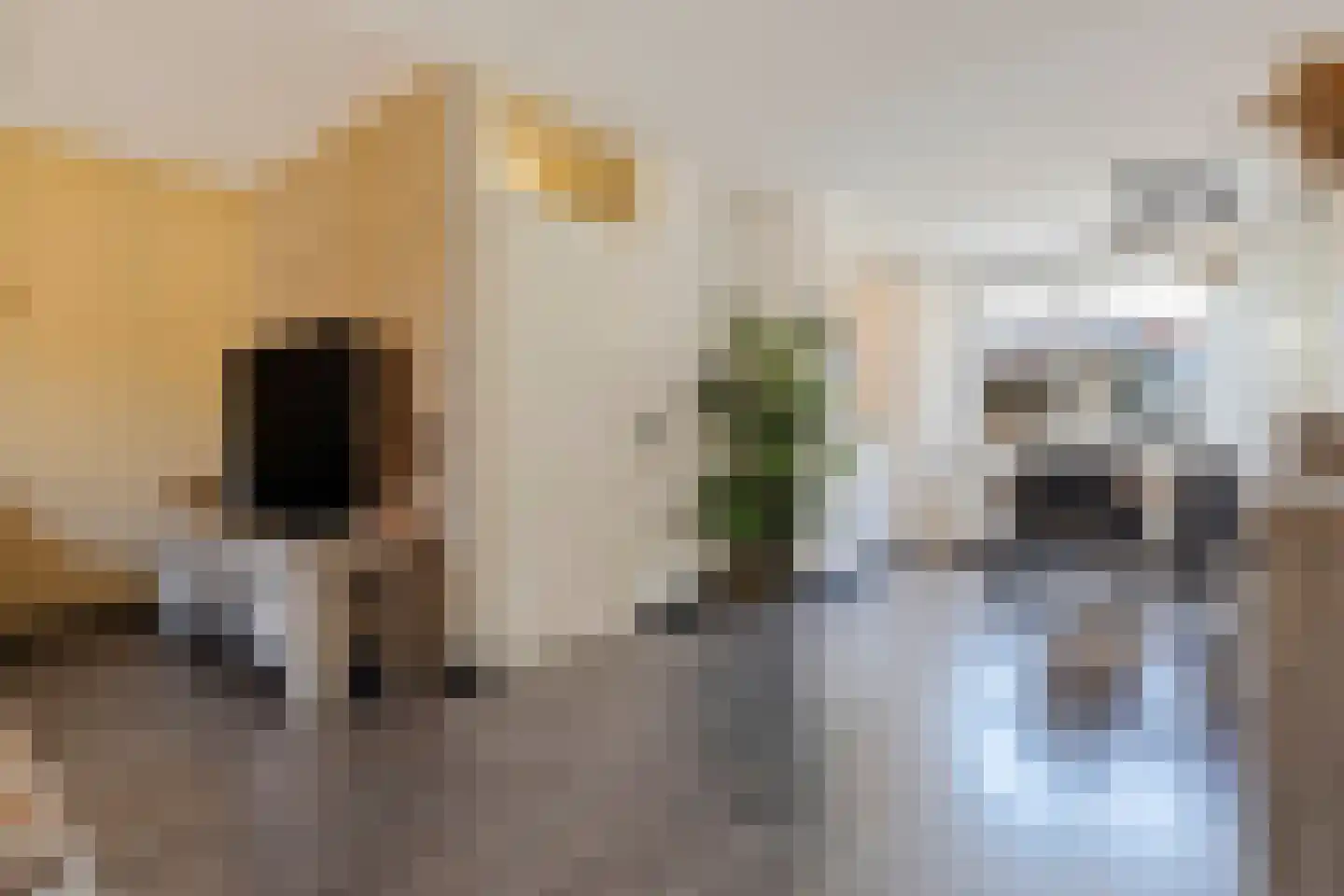 Rubensstraat 26 Baarlo thumbnail 5