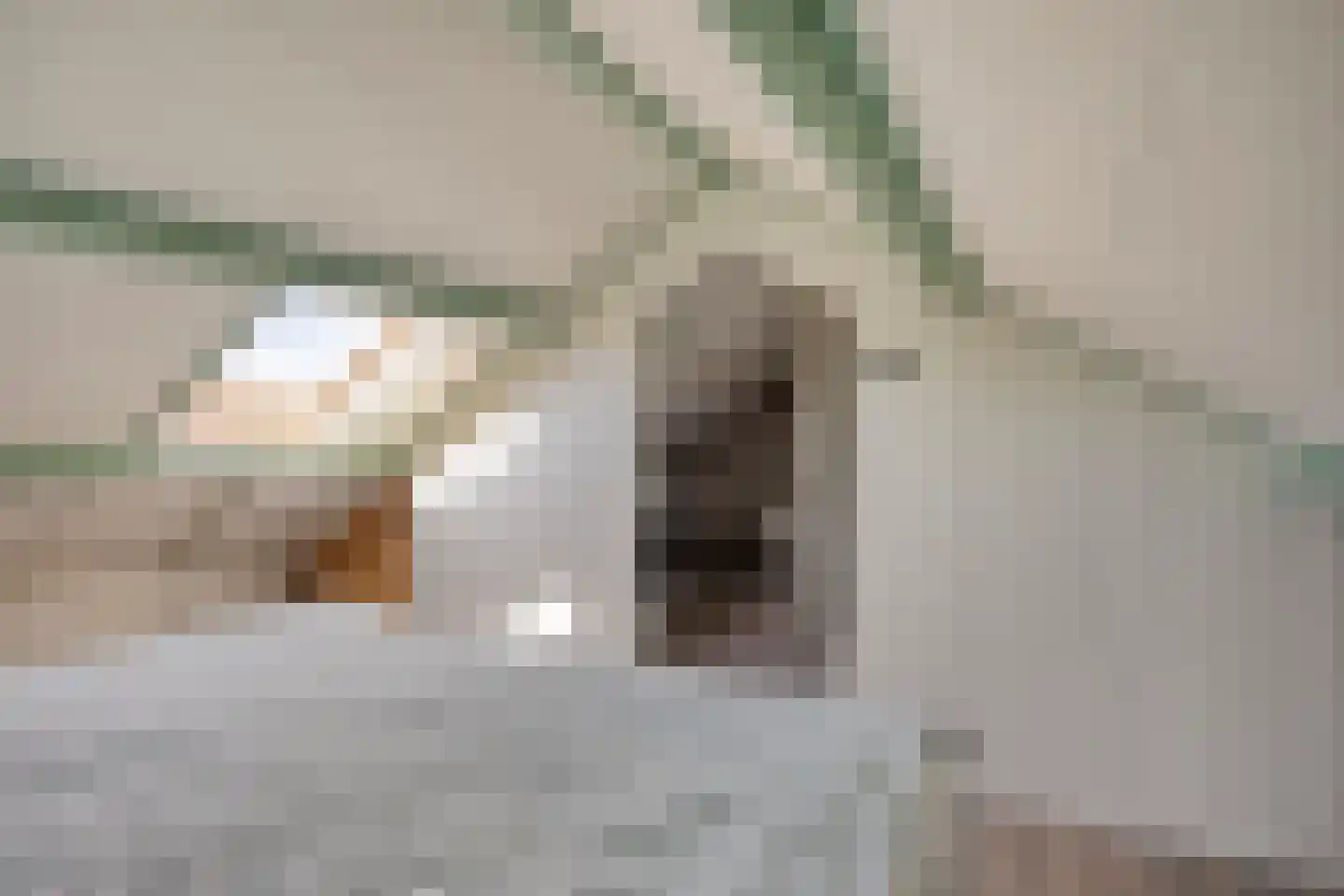 Rubensstraat 29 Dongen thumbnail 37