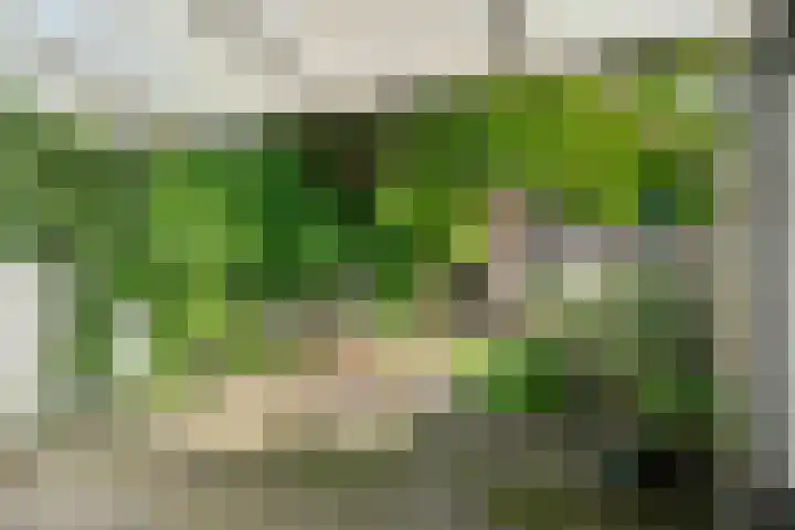 Rubensstraat 36 Eindhoven thumbnail 4
