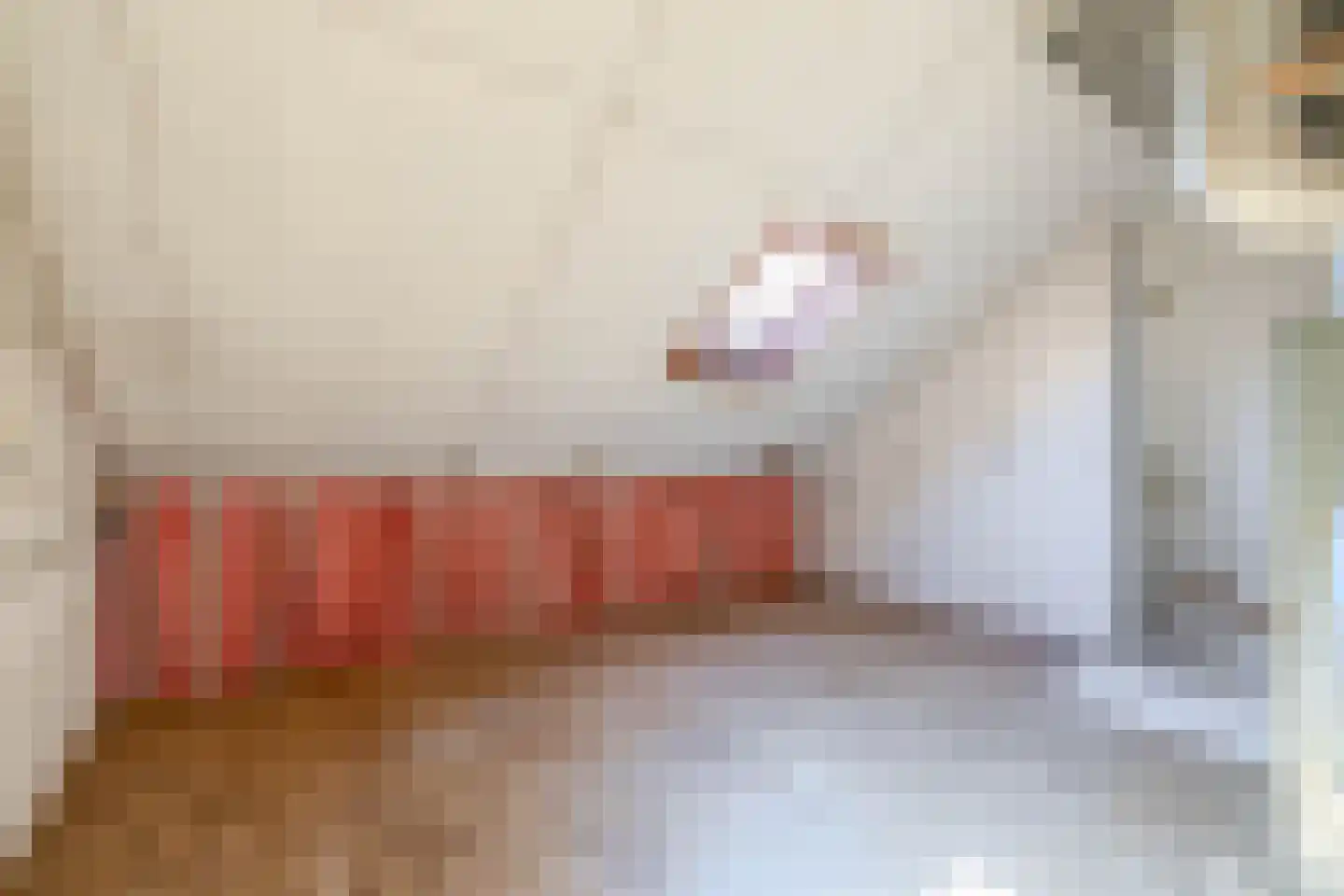 Rubensstraat 4 Baarlo thumbnail 21