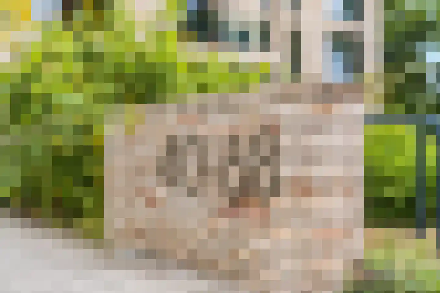 Rubensstraat 40 Amersfoort thumbnail 43