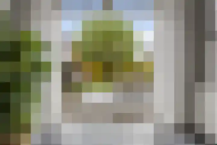 Rubensstraat 41 Voorthuizen thumbnail 10