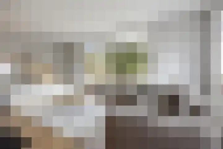 Rubensstraat 41 Voorthuizen thumbnail 15