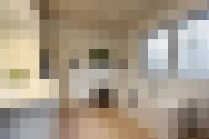 Rubensstraat 41 Voorthuizen thumbnail 21
