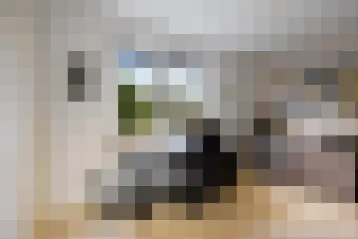 Rubensstraat 41 Voorthuizen thumbnail 26