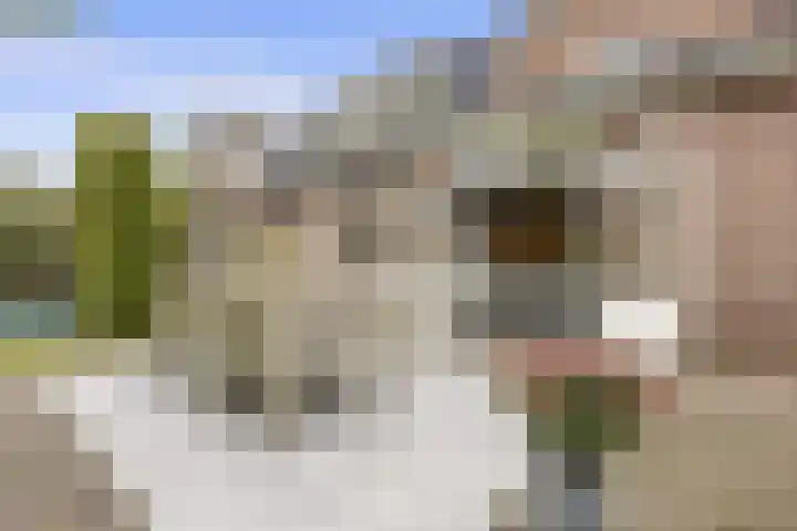 Rubensstraat 41 Voorthuizen thumbnail 48