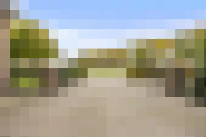 Rubensstraat 41 Voorthuizen thumbnail 58