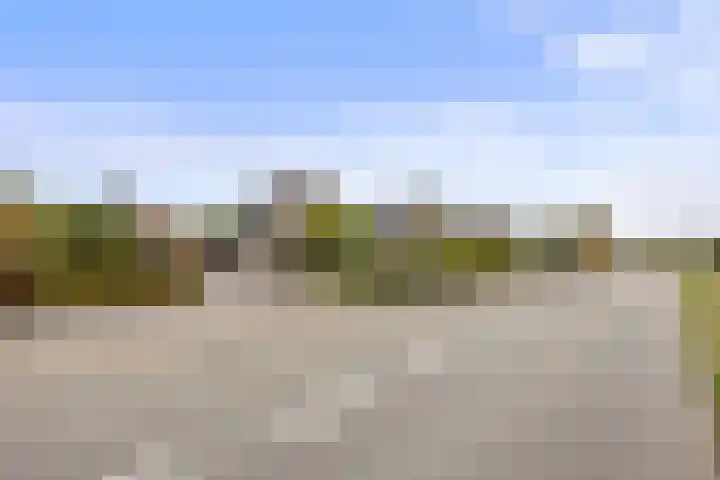 Rubensstraat 41 Voorthuizen thumbnail 59