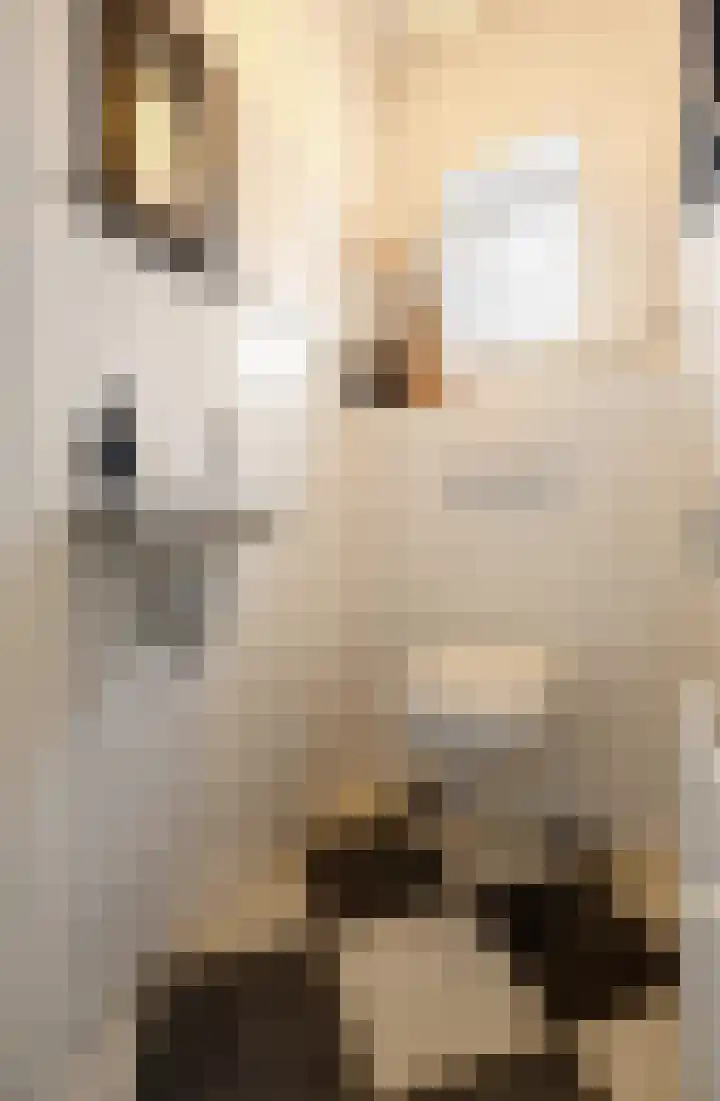 Rubensstraat 41 Voorthuizen thumbnail 6