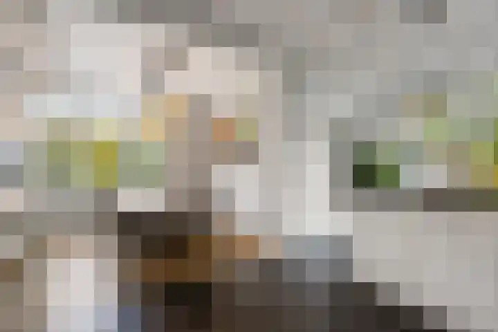 Rubensstraat 41 Voorthuizen thumbnail 7