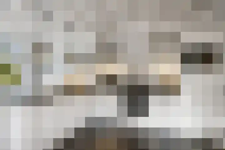 Rubensstraat 41 Voorthuizen thumbnail 8