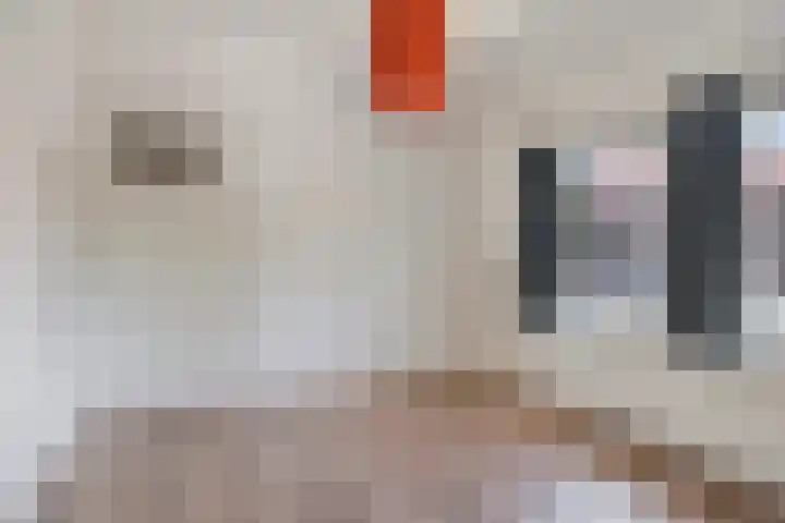 Rubensstraat 42 Eindhoven thumbnail 21