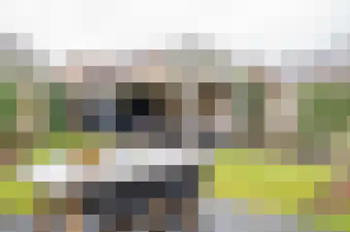 Rubensstraat 5 Zelhem thumbnail 45