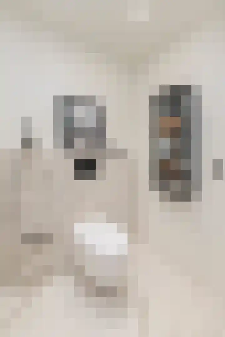 Rubensstraat 58 4 Amsterdam thumbnail 21