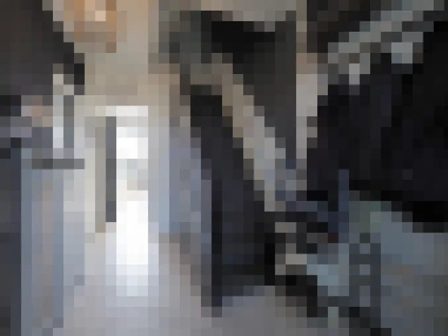 Rubensstraat 60 Papendrecht thumbnail 7