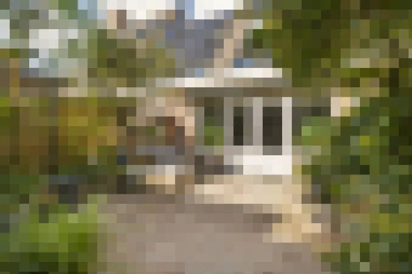 Rubensstraat 63 Ede thumbnail 36