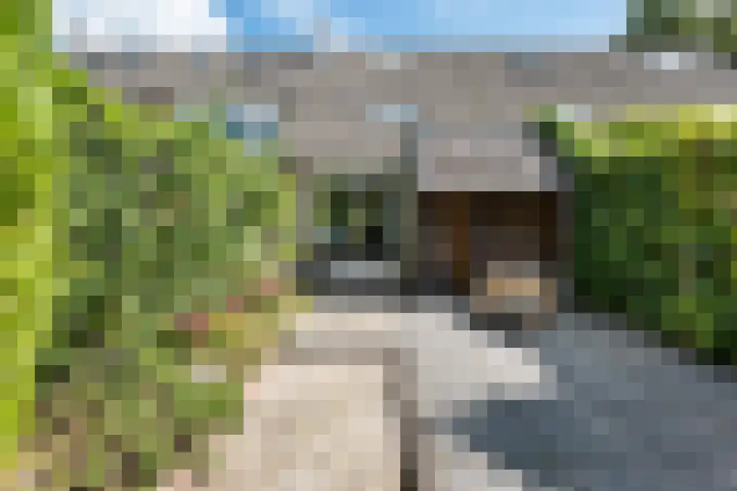 Rubensstraat 63 Groningen thumbnail 45