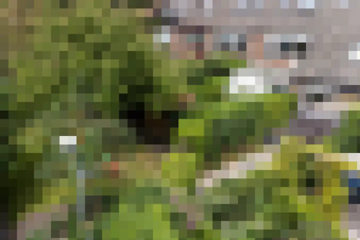 Rubensstraat 63 Groningen thumbnail 46