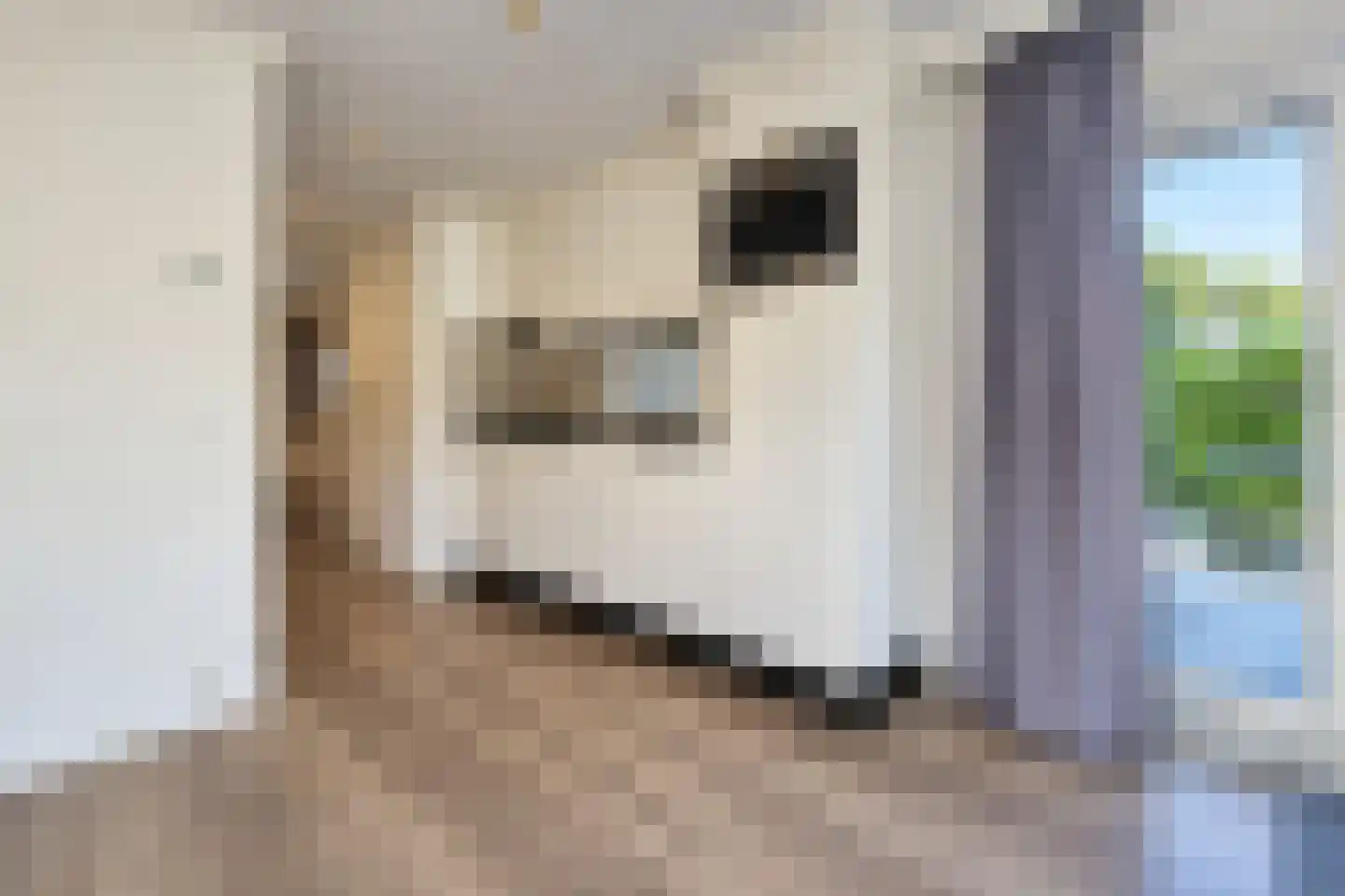 Rubensstraat 71 08 Voorthuizen thumbnail 7