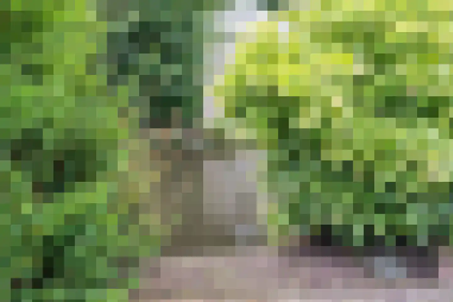Rubensstraat 71 21 Voorthuizen thumbnail 5