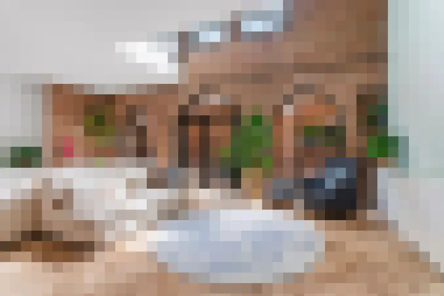 Rubensstraat 72 's-Hertogenbosch thumbnail 11
