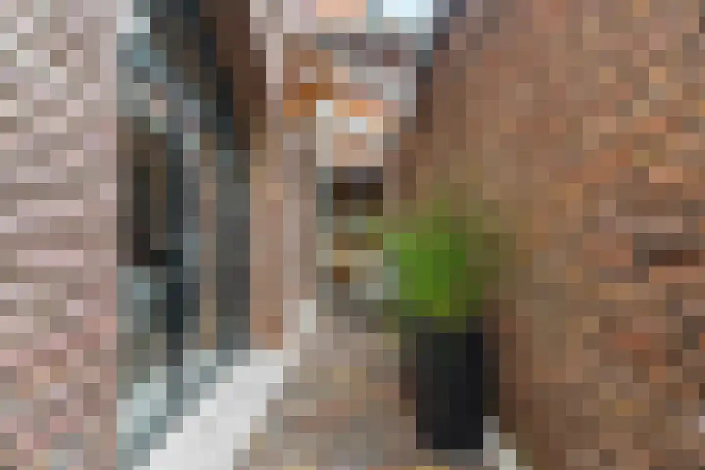 Rubensstraat 72 's-Hertogenbosch thumbnail 14