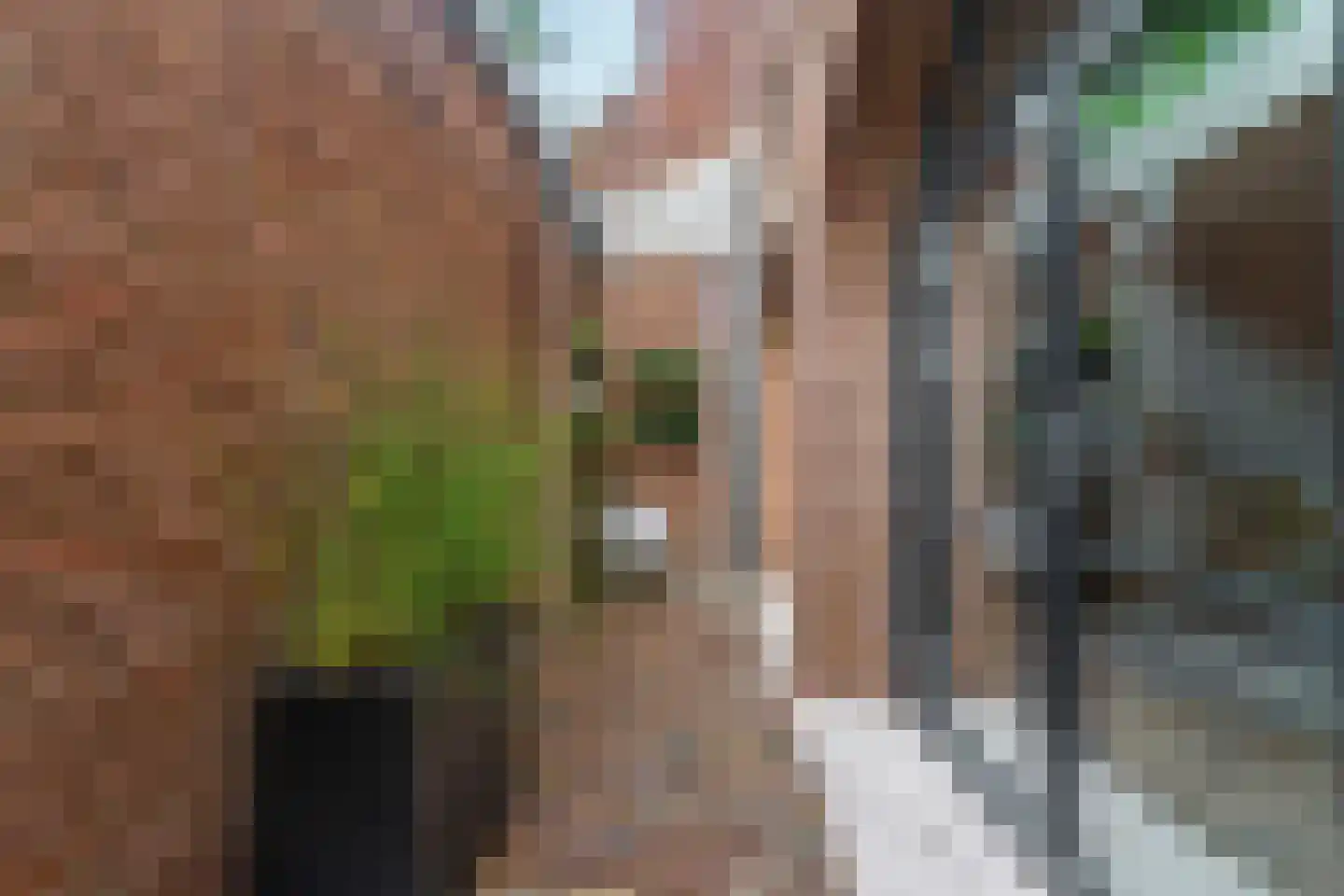 Rubensstraat 72 's-Hertogenbosch thumbnail 15