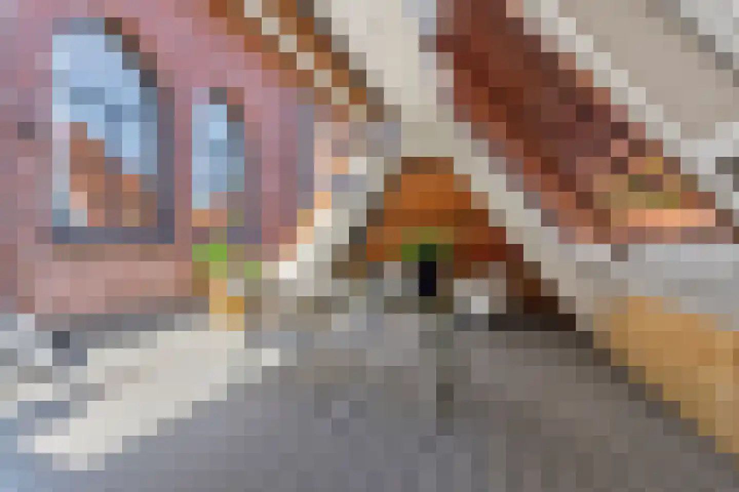 Rubensstraat 72 's-Hertogenbosch thumbnail 36