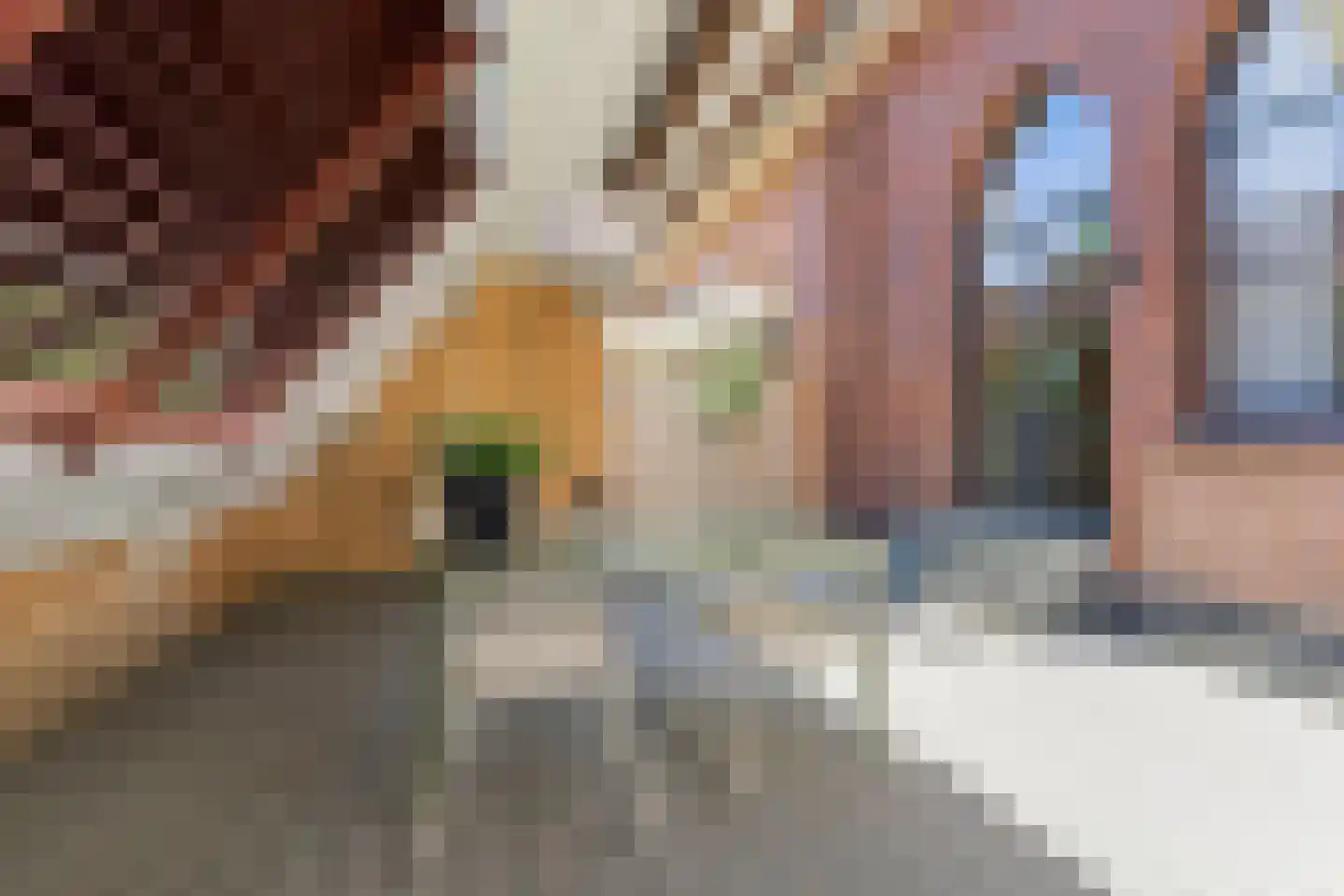 Rubensstraat 72 's-Hertogenbosch thumbnail 37