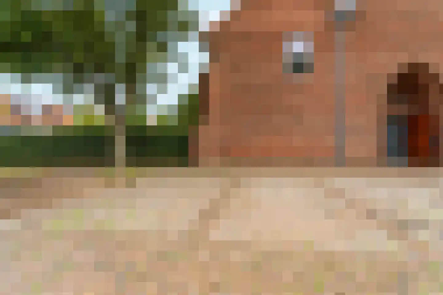 Rubensstraat 72 's-Hertogenbosch thumbnail 46