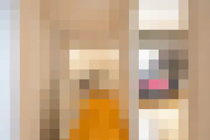 Rubensstraat 74 Groningen thumbnail 37