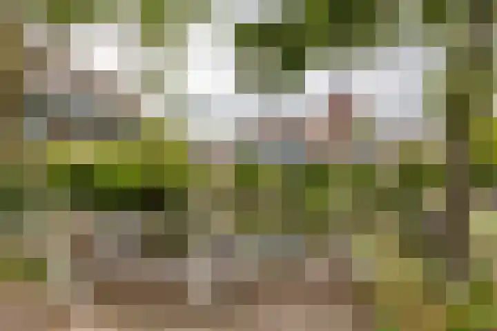 Rubensstraat 74 Groningen thumbnail 47