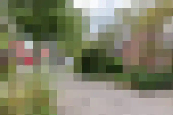 Rubensstraat 74 Groningen thumbnail 6