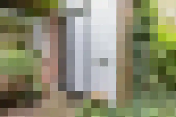 Rubensstraat 74 Groningen thumbnail 8