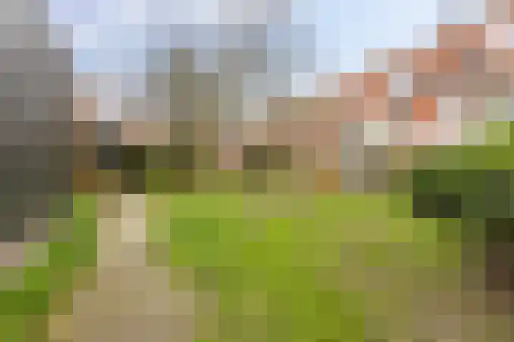 Rubensstraat 79 Groningen thumbnail 36