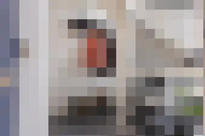 Rubensstraat 79 Groningen thumbnail 8