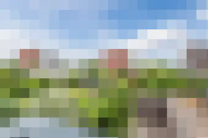 Rubensstraat 8 Groningen thumbnail 33