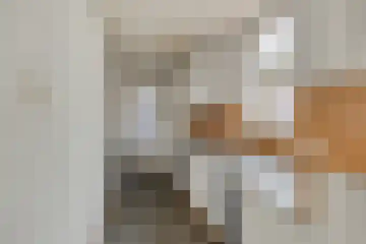 Rubensstraat 9 Eindhoven thumbnail 10