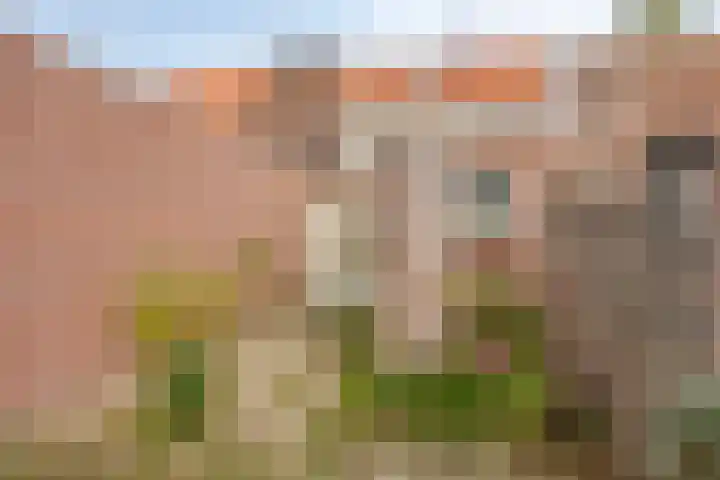 Rubensstraat 9 Eindhoven thumbnail 23