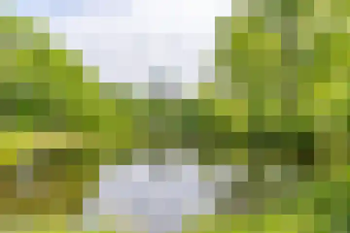 Rubicondreef 102 Utrecht thumbnail 30