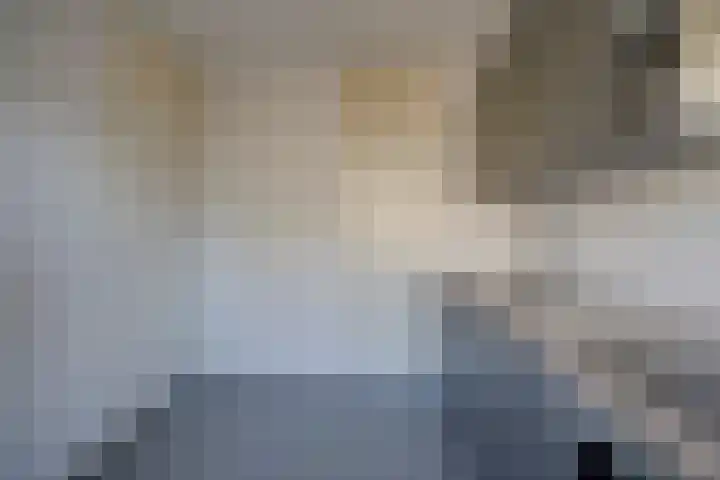 Rubicondreef 102 Utrecht thumbnail 9