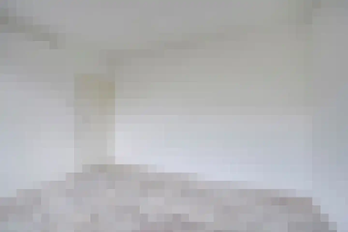 Rubicondreef 112 Utrecht thumbnail 17