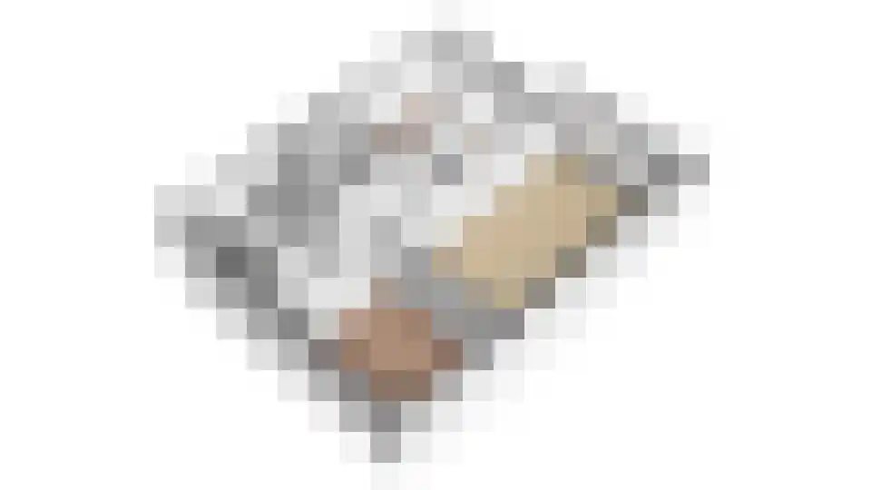 Rubicondreef 112 Utrecht thumbnail 32