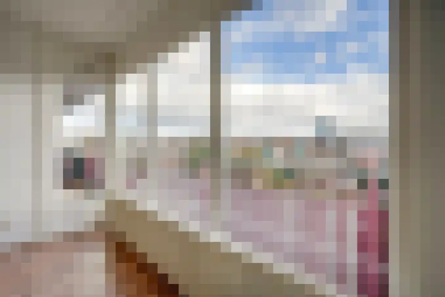 Rubicondreef 112 Utrecht thumbnail 8