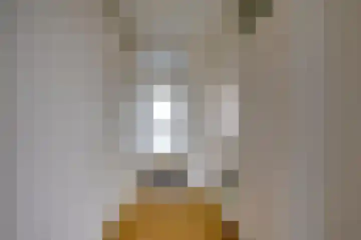 Rubicondreef 116 Utrecht thumbnail 12
